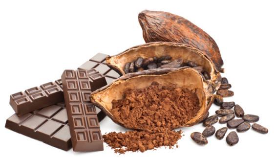 The Sweet Story about Chocolate