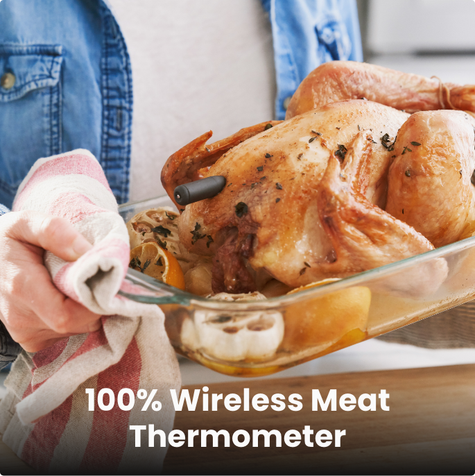 Smart Wireless Meat Thermometer - Meat°it Plus