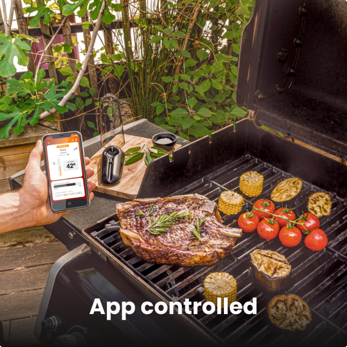 Wireless Meat Thermometer with Bluetooth for 164ft Range on The BBQ Grill  Rotisserie Oven, Digital Bluetooth Meat Thermometer with More Recipes of
