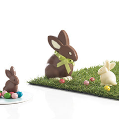 BUNNY CHOCOLATE MOLDS - SET OF 6